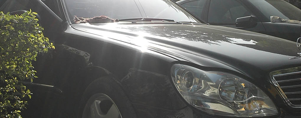 Shalom Car Hire